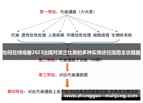 如何在线观看2023法国对波兰比赛的多种实用途径指南全攻略篇